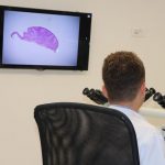 Microchirurgia Mohs